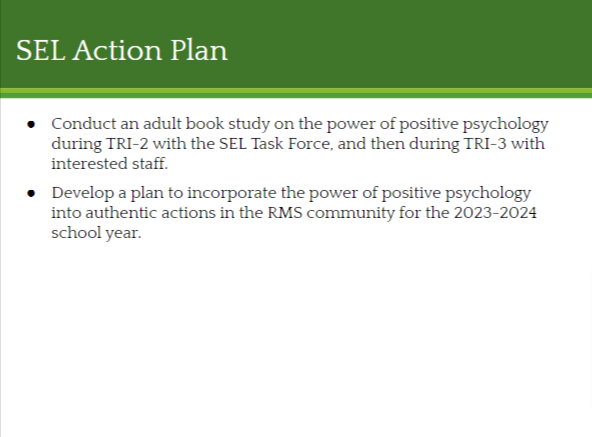 SEL Action Plan